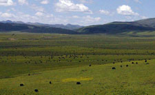 Tibet-Tibet Highland-Highland Expedition in Tibet